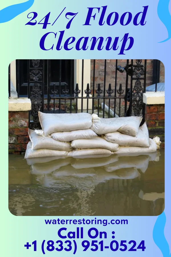 24/7 Flood Cleanup in Whitehouse, OH