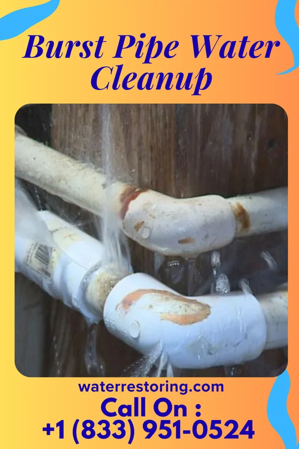 Burst Pipe Water Cleanup in Whitehouse, OH