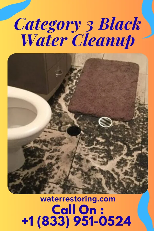 Category 3 Black Water Cleanup in Whitehouse, OH