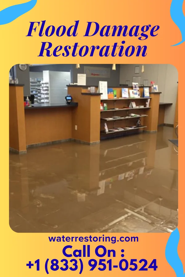Flood Damage Restoration in Whitehouse, OH