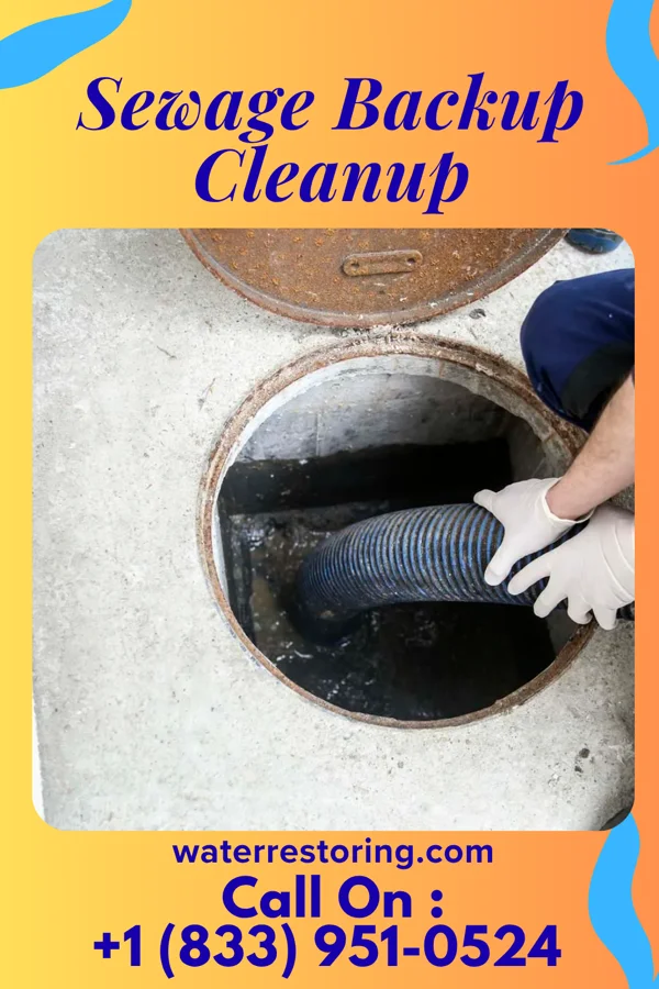 Sewage Backup Cleanup in Whitehouse, OH